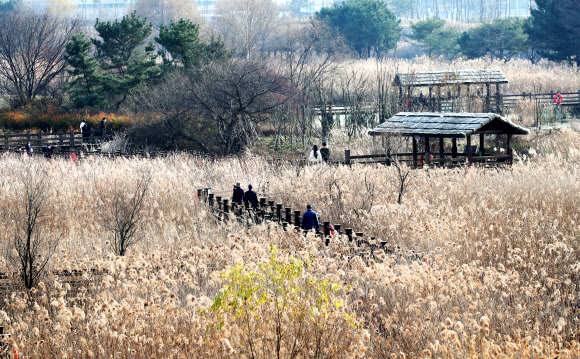 가는 가을이 아쉬워
