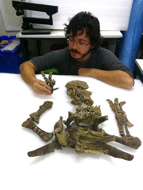 칠레대 세르히오 소토 박사가 새로 발견한 ‘스테고로스 엘렌가센’의 화석을 맞춰 보고 있다. 네이처 제공