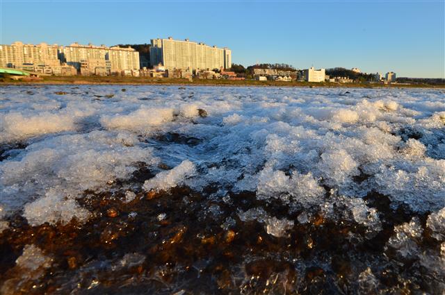 경북 포항시의 낮 최저 기온이 영하로 떨어진 2일 아침 남구 연일읍 형산강 주변이 얼음으로 뒤덮혀 있다. 2021.12.2  뉴스1