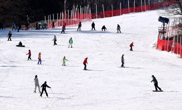 겨울을 기다렸다