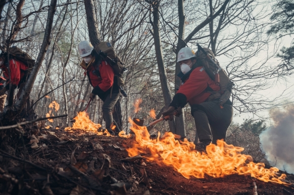 레인저들은 화재 진압, 인명 구조 뿐 아니라 국립공원과 관련된 대부분의 일을 맡고 있다. tvN 제공