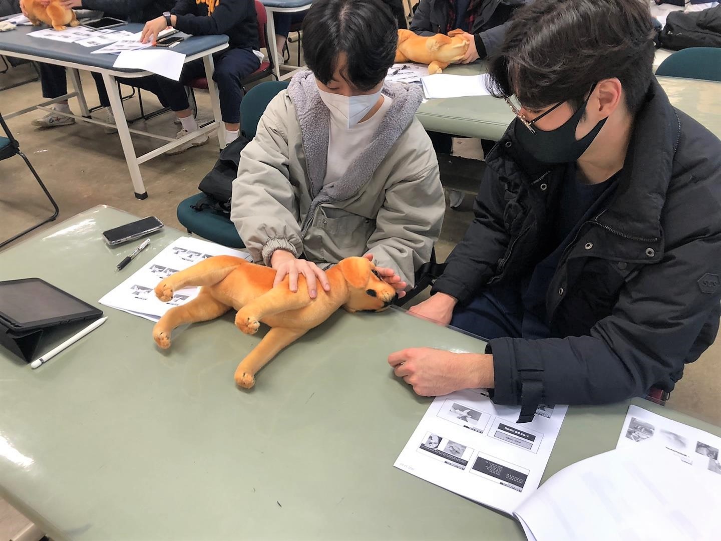 선문대 물리치료학과 동아리 학생들이 강아지 인형으로 동물 물리치료 기술을 배우고 있다. 선문대 제공