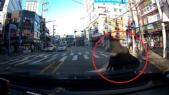 지난 5일 오전 8시 40분쯤 서울 금천구 시흥동의 한 도로에서 신호를 무시한 채 길을 건너던 여고생이 차에 부딪히는 장면 [사진=독자 제공]