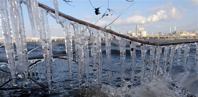전국이 영하권의 날씨를 보인 17일 오전 서울 여의도 한강공원 일대에 고드름이 얼어있다. 2021.12.17  뉴스1