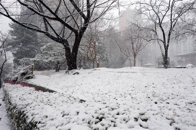 17일 오후 광주 서구 농성동 한 공원에 눈이 쌓여 있다. 2021.12.17 뉴스1