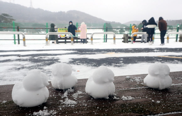 제주 산지에 대설주의보가 내려진 18일 제주시 제주마 방목지를 찾은 사람들이 설경을 감상하고 있다. 2021.12.18  연합뉴스
