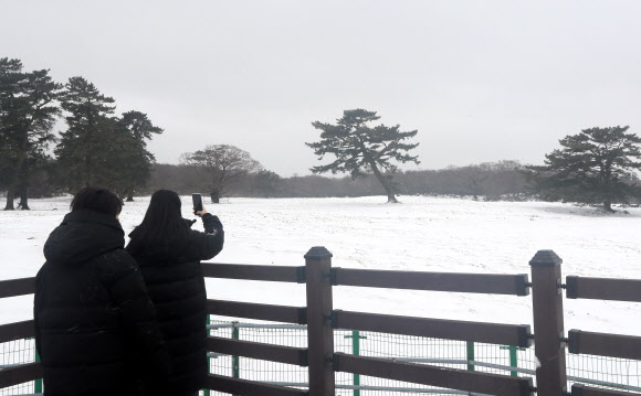 제주 산지에 대설주의보가 내려진 18일 제주마 방목지를 찾은 사람들이 설경을 감상하고 있다. 2021.12.18  연합뉴스