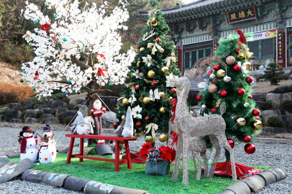 크리스마스를 앞둔 21일 경북 포항시 남구 연일읍 대한불교조계종 문수사 대웅전 앞마당에 크리스마스트리가 세워져 있다. 2021.12.21 연합뉴스