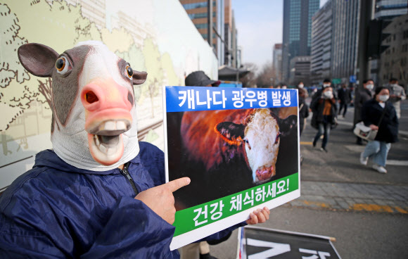 23일 오후 서울 광화문광장에서 채식 단체 관계자가 최근 캐나다에서 6년 만에 광우병이 발생해 캐나다산 쇠고기 수입검역이 중단된 것과 관련해 시민들에게 채식을 촉구하는 퍼포먼스를 하고 있다. 2021.12.23 연합뉴스