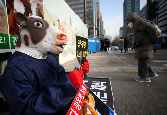 23일 오후 서울 광화문광장에서 채식 단체 관계자가 최근 캐나다에서 6년 만에 광우병이 발생해 캐나다산 쇠고기 수입검역이 중단된 것과 관련해 시민들에게 채식을 촉구하는 퍼포먼스를 하고 있다. 2021.12.23 연합뉴스