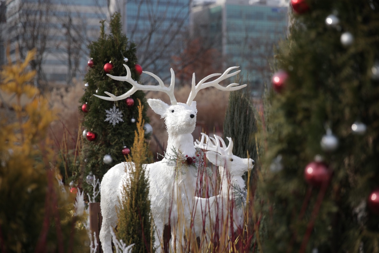 서울식물원이 연말을 맞아 ‘크리스마스 만찬’을 주제로 한 겨울 전시를 선보이고 있다. 서울시 제공