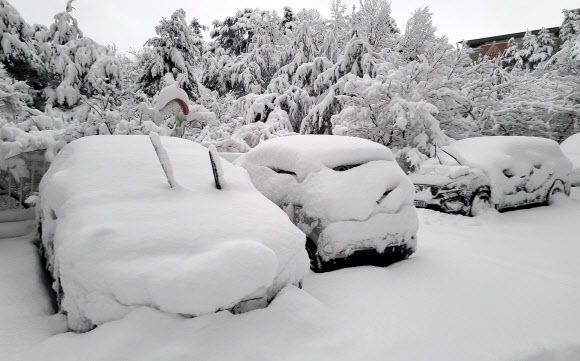 25일 폭설이 내린 강원 강릉의 한 아파트 단지의 차들이 밤새 쌓인 눈에 덮여 있다. 2021.12.25 연합뉴스