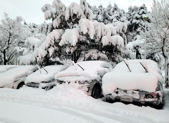 25일 폭설이 내린 강원 강릉의 한 아파트 단지의 차들이 밤새 쌓인 눈에 덮여 있다. 2021.12.25 연합뉴스