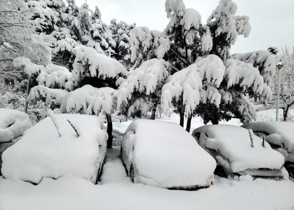 25일 폭설이 내린 강원 강릉의 한 아파트 단지의 차들이 밤새 쌓인 눈에 덮여 있다. 2021.12.25 연합뉴스