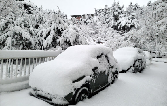 25일 폭설이 내린 강원 강릉의 한 아파트 단지의 차들이 밤새 쌓인 눈에 덮여 있다. 2021.12.25 연합뉴스