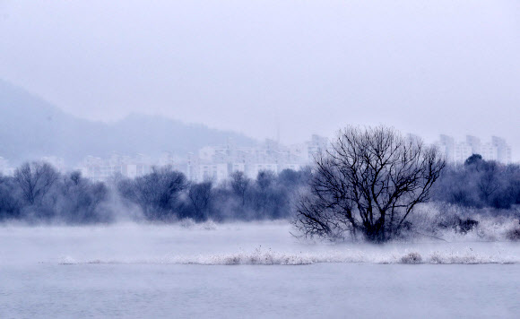 강원 산지와 내륙을 중심으로 한파특보가 이어지고 있는 28일 오전 강원 춘천시 소양강에 물안개와 상고대가 피고 있다. 기상청은 낮부터 기온이 다소 올라 추위가 누그러질 것으로 내다봤다. 2021.12.28 연합뉴스