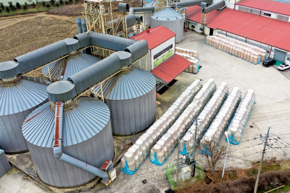 28일 오후 전남 담양군 소재 한 미곡종합처리장에서 공급 과잉으로 저장탱크에 담지 못한 쌀이 야외에 보관되고 있다. 당정은 이날 공급과잉 대책으로 내년 1월 쌀 20만t에 대한 시장격리(정부 매입) 조치를 실시하기로 했다. 2021.12.28 연합뉴스