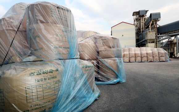 28일 오후 전남 담양군 소재 한 미곡종합처리장에서 공급 과잉으로 저장탱크에 담지 못한 쌀이 야외에 보관되고 있다. 당정은 이날 공급과잉 대책으로 내년 1월 쌀 20만t에 대한 시장격리(정부 매입) 조치를 실시하기로 했다. 2021.12.28 연합뉴스