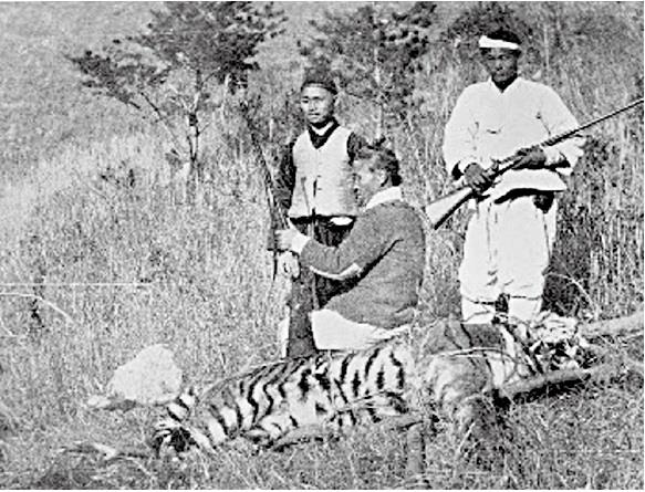 1915년 영국에서 출판된 ‘아시아와 북미에서의 수렵’이라는 책에 실린 1903년 무렵 전남 진도에서 찍힌 호랑이 포획 사진. 한국범보전기금 제공