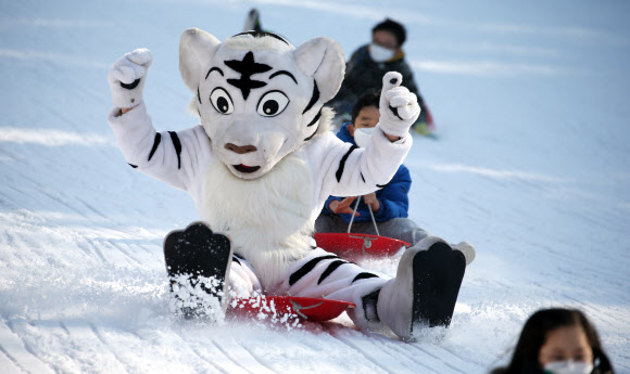 새해 둘째날인 2일 오후 대구 달서구 이월드 눈썰매장에서 어린이들이 호랑이와 함께 눈썰매를 타며 휴일을 보내고 있다. 2022.1.2  연합뉴스