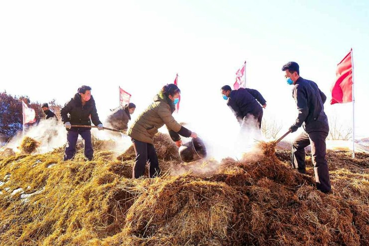 북한 평안북도 동림군 솔나무협동농장의 모습. 사진=노동신문·뉴스1