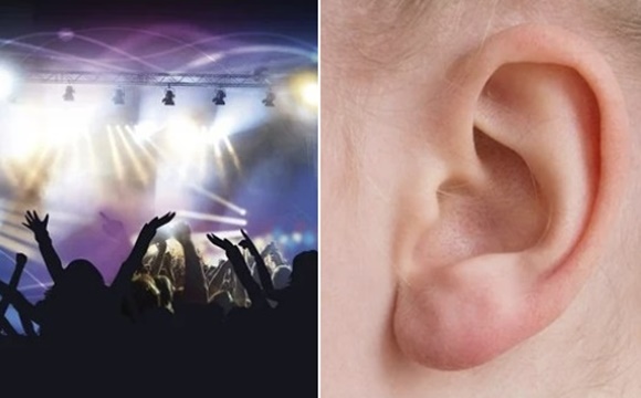 “귀가 찢어졌어요” 강남 클럽서 귀 찢긴 만취 20대 여성