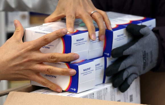 약국 도착한 코로나19 먹는 치료제