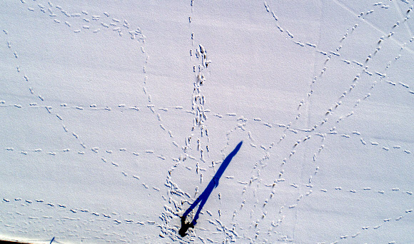 설원으로 변한 한강공원