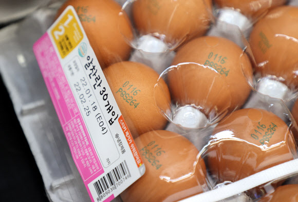 가축 및 축산물 이력관리에 관한 법률’(축산물이력법) 새 시행규칙이 시행됨에 따라 포장지에 이력번호를 기재하지 않고 계란 껍데기 표시정보만으로도 계란을 판매할 수 있게 됐다.  연합뉴스 