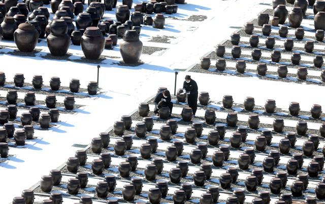 내일  입춘, ‘봄 맞을 준비 한창’