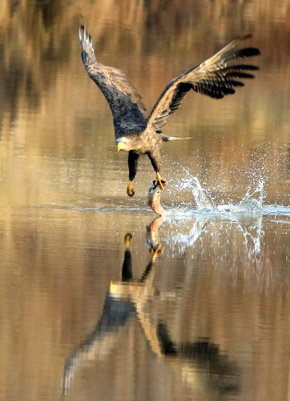 오늘은 풍성한 식사