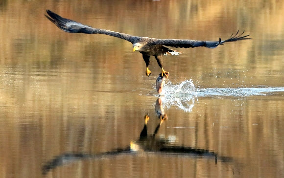 오늘은 풍성한 식사