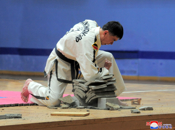 북한 태권도선수단의 태권도 시범 공연