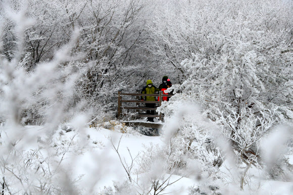 한라산은 아직도 겨울왕국
