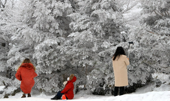 한라산은 아직도 겨울왕국