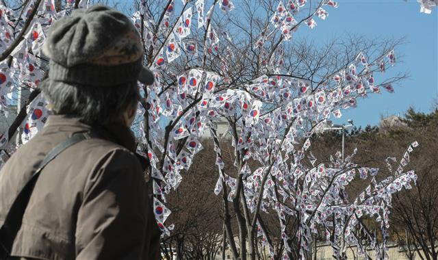 3.1절 앞두고 휘날리는 태극기