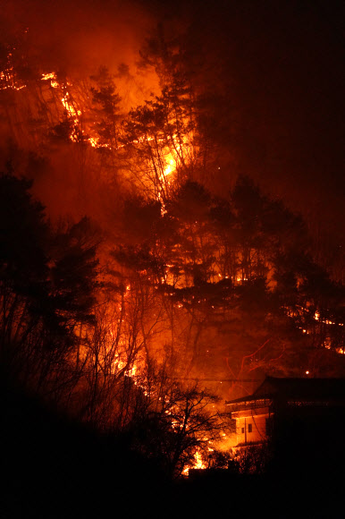 고령군 쌍림면 산불