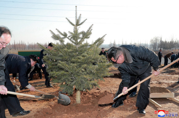 김정은 북한 국무위원장이 지난 2일 북한판 식목일인 식수절을 맞아 평양 화성지구에서 제2차 초급당비서대회 참가자들과 기념 식수했다고 조선중앙통신이 3일 보도했다. 행사에는 친동생인 김여정 당 부부장을 비롯해 조용원ㆍ리일환 당 비서, 김재룡 조직지도부장, 오일정 군정지도부장, 김영환 평양시당위원회 책임비서, 주창일 당 부장 등이 동행했다. 2022.3.3  평양 조선중앙통신 연합뉴스