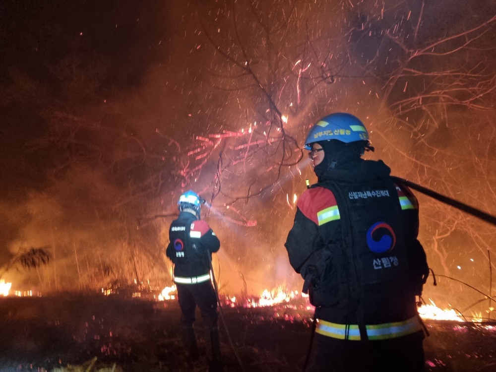 산불진화특수대원들이 울진삼척 산불 현장에서 지상 야간진화 활동을 벌이고 있다. 산림청 제공
