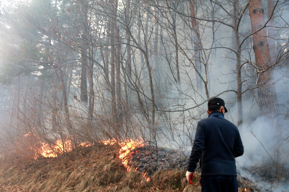 ‘되살아난 산불’