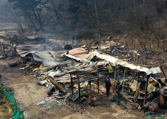 산불에 전소된 주택