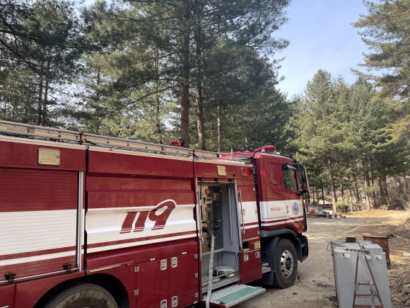 ‘금강송 군락지 지킨다’