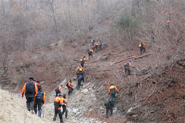 울진 금강송을 사수하라!