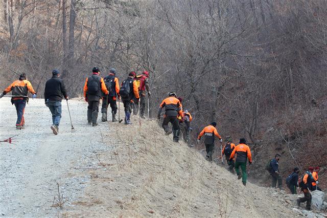 울진 금강송을 사수하라!