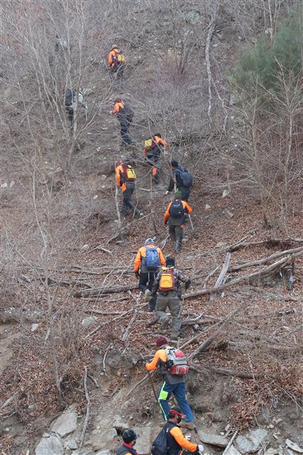 울진 금강송을 사수하라!