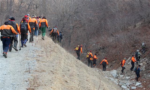 울진 금강송 사수 총력전