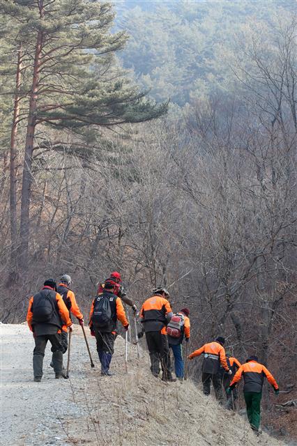 울진 금강송 사수 총력전