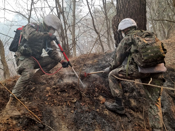 50사단 장병, 울진.삼척산불 진화 구슬땀