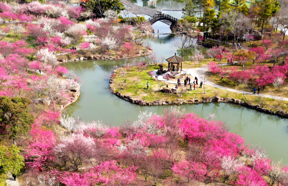 봄날을 즐기는 사람들이 6일(현지시간) 중국 동부 장쑤성 양저우의 수서호에서 즐거운 시간을 보내고 있다. 신화 연합뉴스