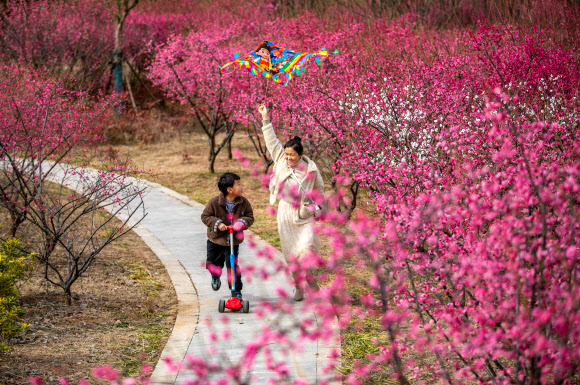 People enjoy the springtime in Huaibei, east China‘s Anhui Province, March 6, 2022. Xinhua 연합뉴스